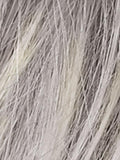 SILVER BLONDE ROOTED 60.23 | Pure Silver White and Pearl Platinum Blonde Blend, with a Dark Root