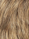 BERNSTEIN MULTI SHADED 12.26.27 | Light brown with medium golden blonde and dark strawberry blonde blend with dark shaded roots