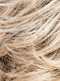 CHAMPAGNE ROOTED 22.20.25 | Light Beige Blonde, Medium Honey Blonde, and Platinum Blonde blend with Dark Roots
