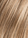 DARK SAND MIX 12.14.24 | Light Brown base with Lightest Ash Brown and Medium Honey Blonde blend