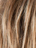 LIGHT BERNSTEIN ROOTED 27.26.19 | Light Auburn, Light Honey Blonde, and Light Reddish Brown blend and Dark Roots