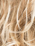 CHAMPAGNE ROOTED 22.26.25 | Light Beige Blonde, Medium Honey Blonde, and Platinum Blonde blend with Dark Roots