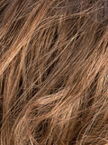 TOBACCO LIGHTED - 830.26.27 | Medium Brown base with Light Golden Blonde Highlights and Light Auburn Lowlights